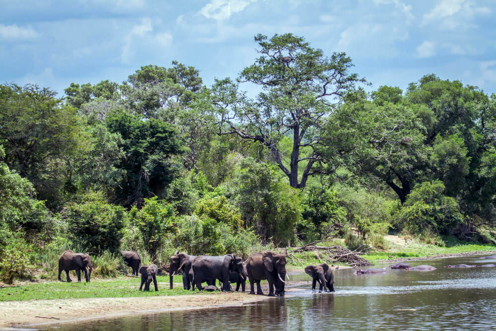 12 Days 11 Nights Tanzania Safari