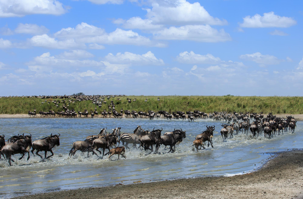 Serengeti National Park