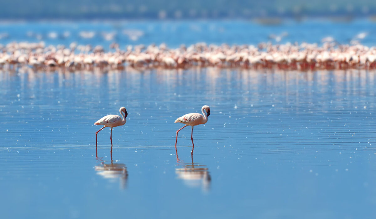 Lake Manyara
