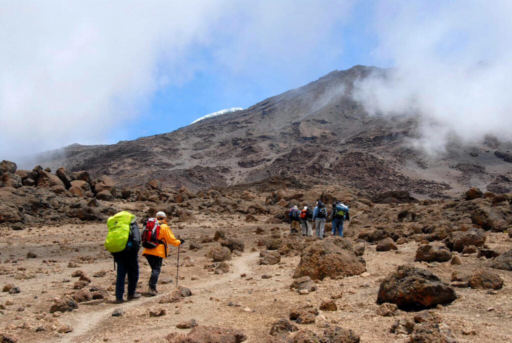 Mt Kilimanjaro