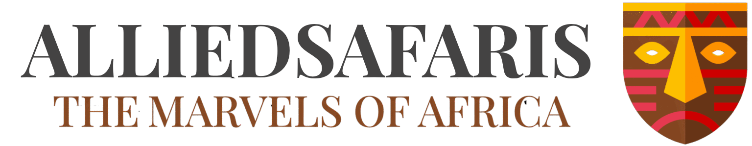Allied Safaris